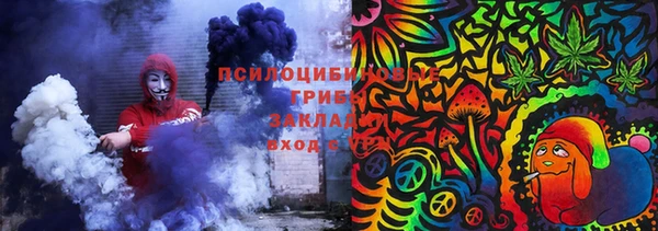 ПСИЛОЦИБИНОВЫЕ ГРИБЫ Киренск