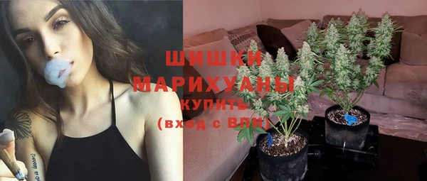 ПСИЛОЦИБИНОВЫЕ ГРИБЫ Киренск